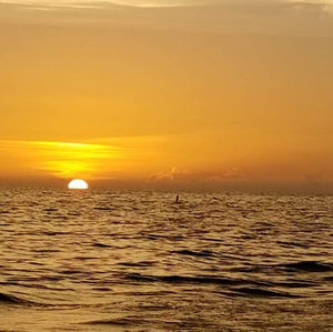 Meet your Posher, Mona